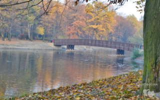 Jesienne spacery z niemowlakiem