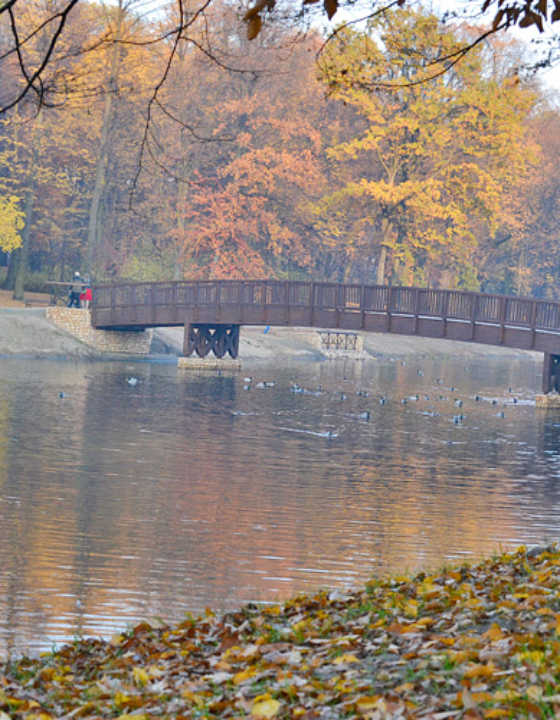 Jesienne spacery z niemowlakiem