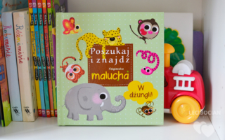 Poszukaj i znajdź: W dżungli – Książeczka malucha