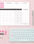 Makaron z kurkami w sosie serowym