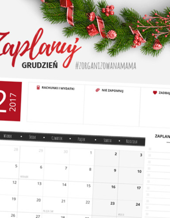 Planer do druku – grudzień 2017
