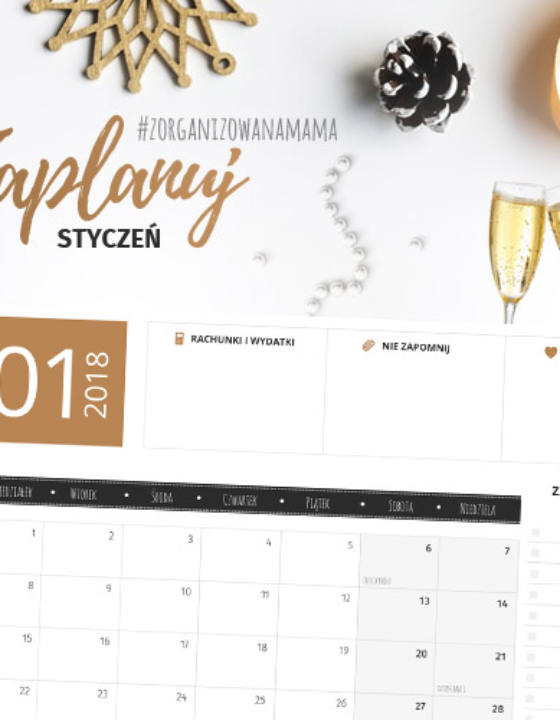 Planer do druku – styczeń 2018