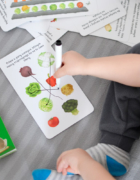 Planer do druku – luty 2018