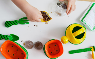 Botanika dla malucha, czyli nasze wspólne pasje