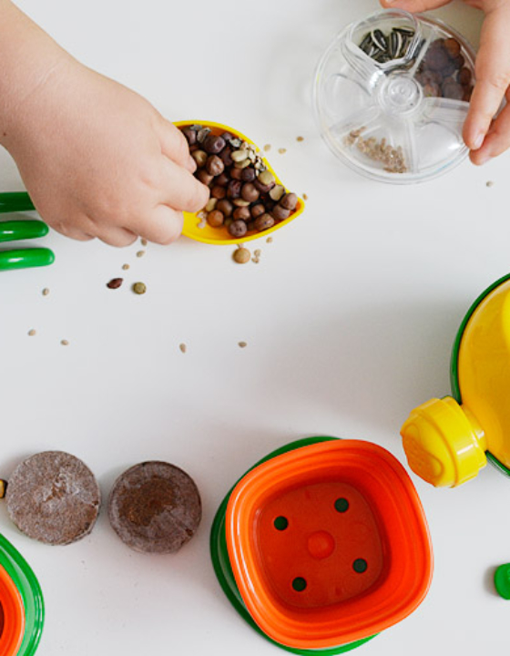 Botanika dla malucha, czyli nasze wspólne pasje