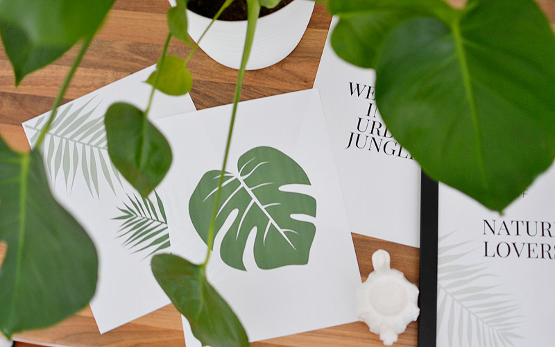 Plakaty botaniczne z roślinami do druku