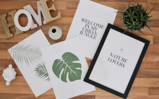 Plakaty botaniczne monstera, palma, urban jungle – do druku