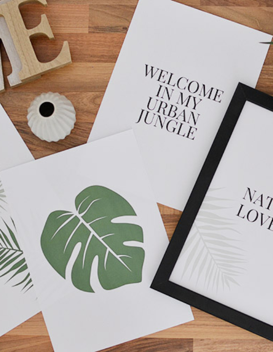 Plakaty botaniczne monstera, palma, urban jungle – do druku