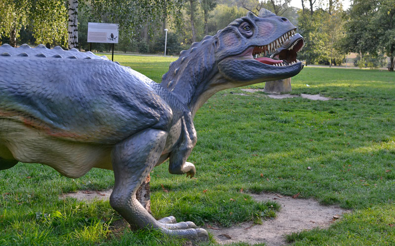 Staw rzęsa Siemianowice Śląskie - dinozaury