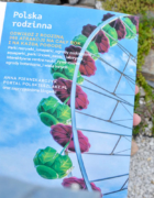 Zegar i kalendarz – zagadki i łamigłówki