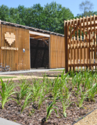 Wakacyjne karty pracy – letnie wyklejanki do druku