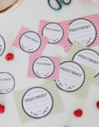 Rośliny doniczkowe mało wymagające – idealne dla początkujących i zapominalskich