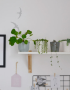 ZOO w Ostrawie – czy warto jechać z dziećmi?