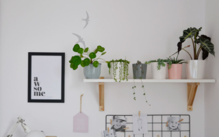 Rośliny doniczkowe mało wymagające – idealne dla początkujących i zapominalskich