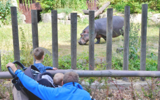 ZOO w Ostrawie – czy warto jechać z dziećmi?