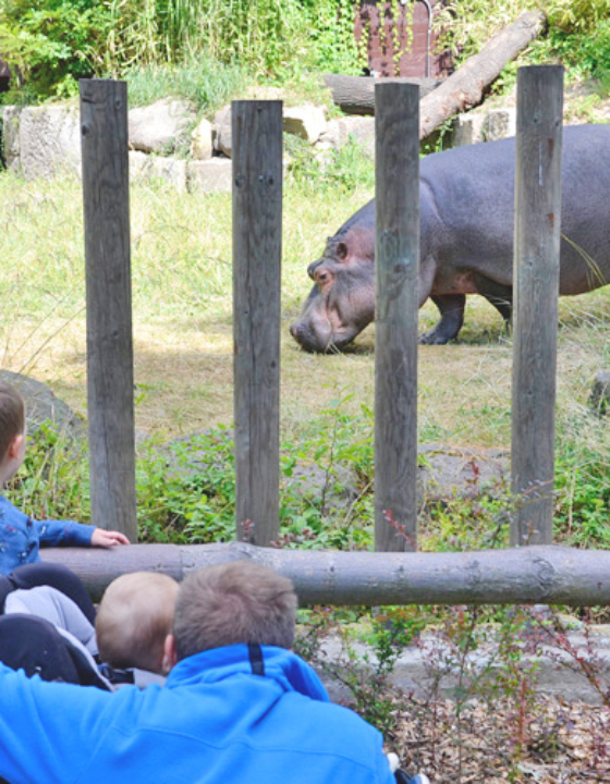 ZOO w Ostrawie – czy warto jechać z dziećmi?
