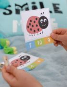 6 moich ulubionych roślin domowych