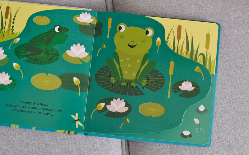 Witaj żabko! - recenzja, zdjęcia książki