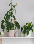 Kiedy nadchodzi smutek – książka o dziecięcych emocjach