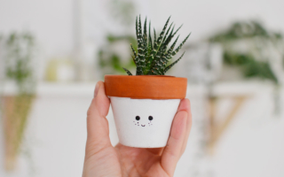 Jak podlewać rośliny doniczkowe?