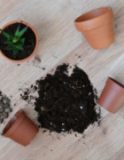 Najlepsza domowa ciastolina – jak zrobić miękką ciastolinę?