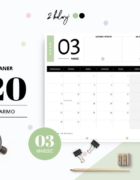 5 praktycznych rad jak przesadzać rośliny