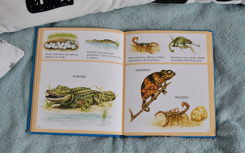 Księga Zwierząt - zdjęcia książki