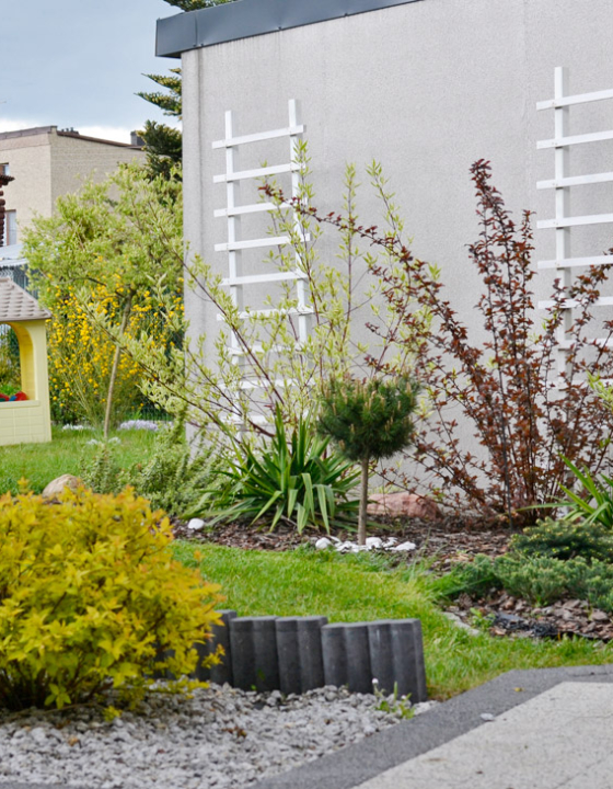 Wiosna w moim ogrodzie – Kolorowy ogród