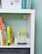 Monstera dziurawa – Jak uprawiać? Wymagania i pielęgnacja