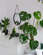 Mały archeolog dla dzieci – zabawka, która zajmie dziecko na długo!