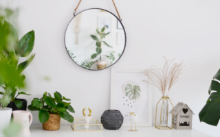 Jak dobrać doniczkę do rośliny?