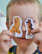 Wielka fabryka potworów – potwory, gluty i eksperymenty