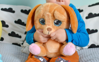 Cry Pet – piesek, który płacze