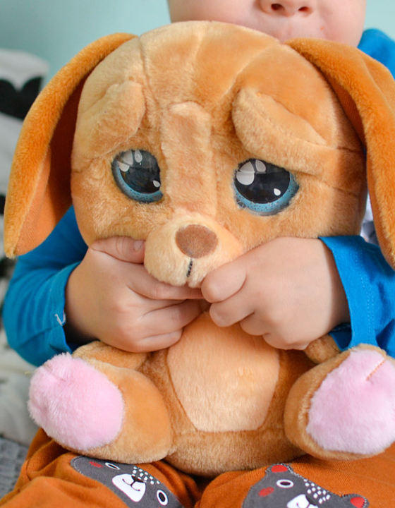 Cry Pet – piesek, który płacze