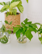 Kosmiczny alfabet – Nauka liter przez zabawę