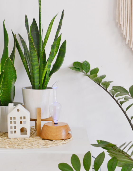 Jak stosować i dyfuzować olejki eteryczne?