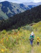 Planery 2022 do druku