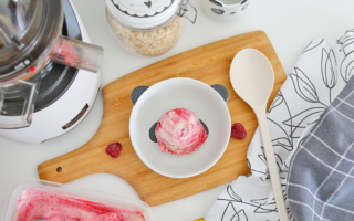 Domowe lody z wyciskarki wolnoobrotowej