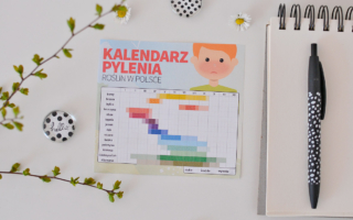 Alergia wziewna u dziecka – Jak sobie z nią radzić?