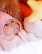 Planer styczeń 2023 – do druku za darmo