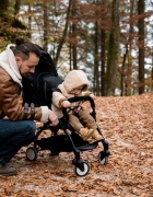 Dekoracje świąteczne DIY – z papieru i rolek papieru