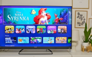 Najlepsze bajki na Disney+ dla dzieci – 30 najlepszych animacji