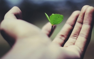 Ile kosztuje polisa na życie i od czego zależy jej cena?