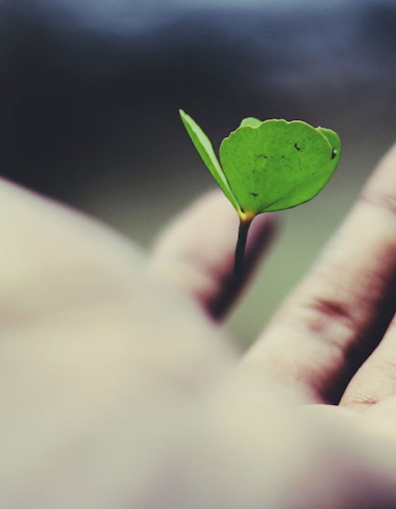 Ile kosztuje polisa na życie i od czego zależy jej cena?