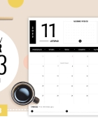 Budowa Twojego ciała – książka o anatomii dla dzieci