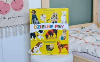 Dzielne psy – poznaj 19 psich bohaterów