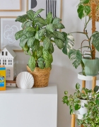 Planer lipiec 2024 do druku – darmowy kalendarz