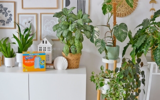 5 rzeczy, które pomagają mi w sprzątaniu