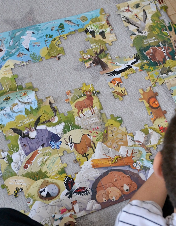 Dlaczego warto układać puzzle z dzieckiem?