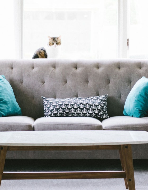 Jak wybrać idealną kanapę dla dziecka? Praktyczny poradnik dla rodziców